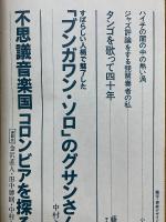 季刊ノイズ　第7号　第22巻第12号・通巻291号　ミュージック・マガジン別冊