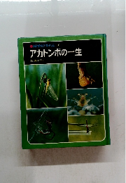 科学のアルバム 10 アカトンボの一生