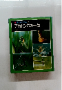 科学のアルバム 10 アカトンボの一生