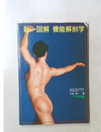 新図解機能解剖学