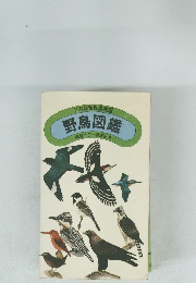 野鳥図鑑