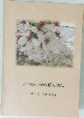 いつか、桜の咲く頃に