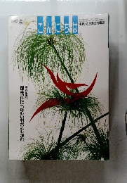こんにちは　1993年8月号　