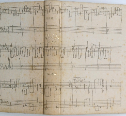 M/Tと森のフシギの物語