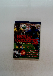 WORLD SOCCER 95