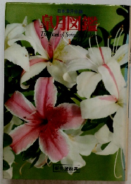 The Book of Satsui falee