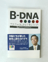 B-DNA　