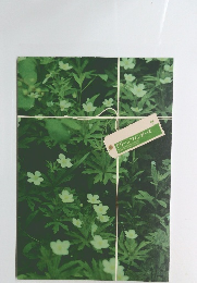 グリーンフィンガーズ