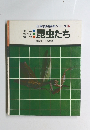 図解自然観察シリーズ　4　昆虫たち