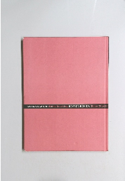 SAYAKA UCHIDA Shiny Stocking SAYAKA UCHIDA Shiny Stockir