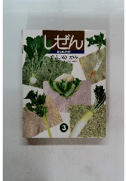 しぜん3 キンダーブック やさいのかみ
