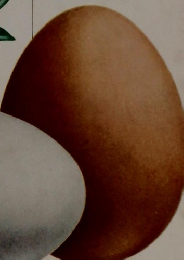 COOK　料理全集　4　 卵の料理