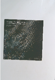 Mottainai: The Fabric of Life　2011