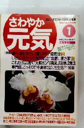 さわやか元気　１９９６年1月号