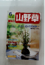 山野草　２００２年６月号