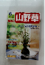 山野草　２００２年６月号