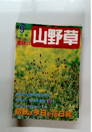 山野草　２００２年９月号
