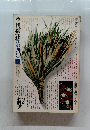 季刊銀花 1970 第四号 冬