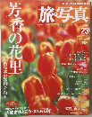 芳香の花里　旅写真　23　2004年2月20日