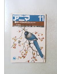 アニマ　11月　庭のバードウォッチング庭で見る冬の鳥