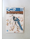アニマ　11月　庭のバードウォッチング庭で見る冬の鳥
