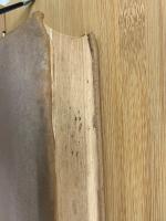 ワグネル先生追懐集