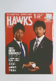 HAWKS　2014.1