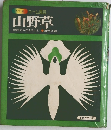 山野草 野趣ある花を楽しむ 