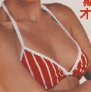 ロードジョー　1981年9月号