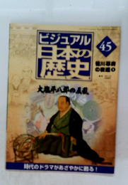 ビジュアル日本の歴史　45