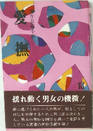 愛撫　新作長編小説