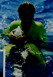 Rescue　Diver Manual