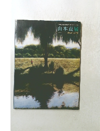 山本貞展 凝視された光景