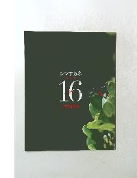 シマアカネ　16　