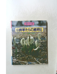 山野草たちの歳時記
