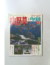 山野草とミニ盆栽　2002年早春