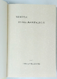 東光寺裏山遺跡発掘調査報告書　1997