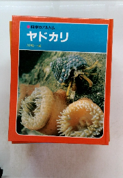 科学のアルバム ヤドカリ
