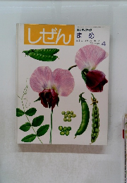 しぜん4　まめ