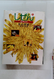 しぜん 5　たんぽぽ