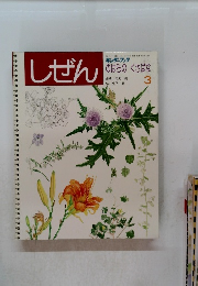 しぜん　3　のはらの くさばな