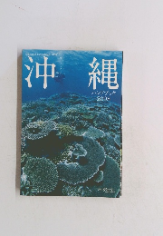 沖縄　ハンドブック 2008年