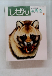 しぜん　11　たぬき