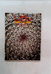 しぜん 1994年11月号 サボテン キンダーブック 