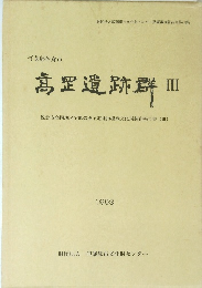 高里遺跡群 III　１９９３年