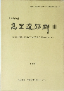 高里遺跡群 III　１９９３年