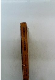 低開発社会への経済的衝撃