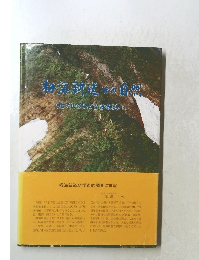 初海新道の自然  北アルプスから日本海
