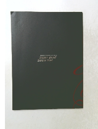 TOMONISA YAMASHITA ASIA TOUR 2011 Super good Super bad