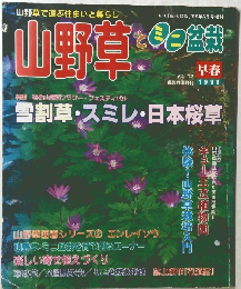 山野草とミニ盆栽　1999年3月号増刊
